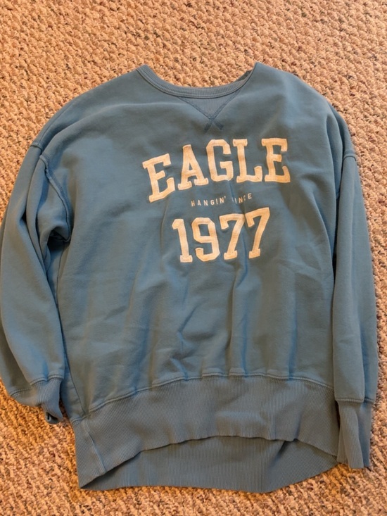 American Eagle Outfitters Tops - American eagle blue crewneck